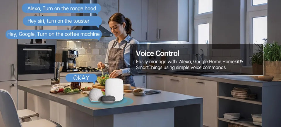 16A/20A EU Smart Plug Power Outlet Matter Smart WiFi Socket Mini Smart Plug for HomeKit SmartThings Works with Siri Alexa